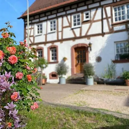 In * Hinterweidenthal
